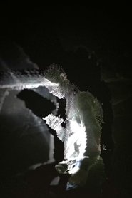 I Don't Think I'm Alone in This