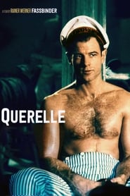 Querelle постер