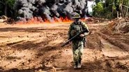 Anarchy in the Amazon