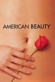 Краса по-американськи постер
