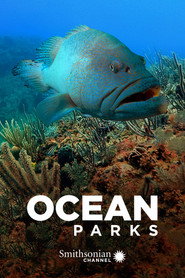 Ocean Parks постер