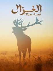 The deer...a life story