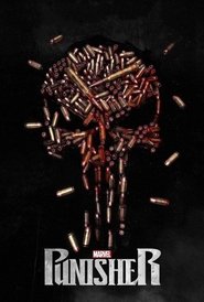 Marvel’s The Punisher Marvel’s The Punisher