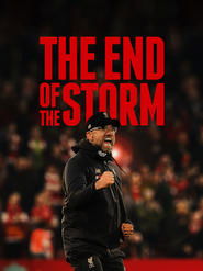 Poster The End of the Storm