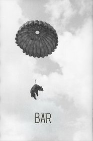 Poster Bear 2015