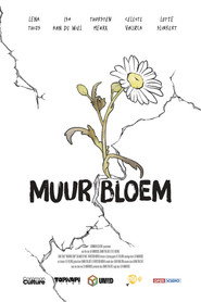 Muurbloem