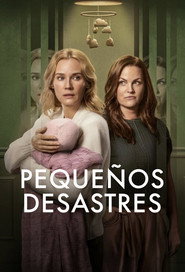Póster de Pequeños desastres