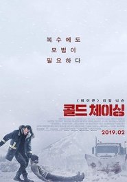 콜드 체이싱