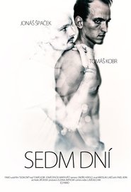 Poster Seven Days 2012