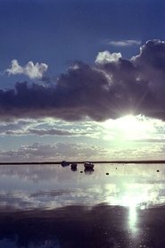 Poster Estuary 1980