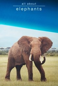 Poster All About Elephants 1970