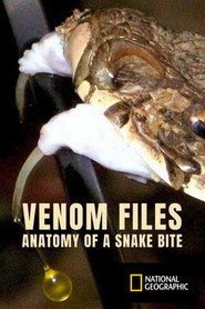 Venom File - Anatomy of a snake bite
