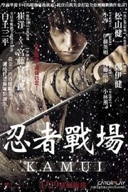 卡姆依外传