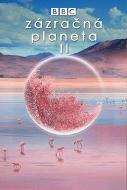 Z&aacute;zračn&aacute; planeta II (2016)