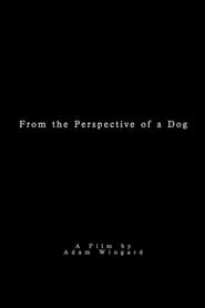 Image From the Perspective of a Dog