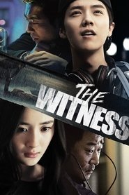 Poster The Witness 2015