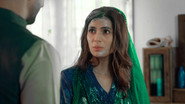 Insha doubts Seher