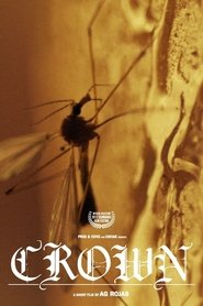 Poster Crown 2012