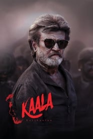 Kaala HINDI DUBBED