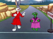Rabbit Transit