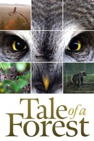 Poster Tale of a Forest 2012