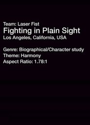 Fighting in Plain Sight (2013)