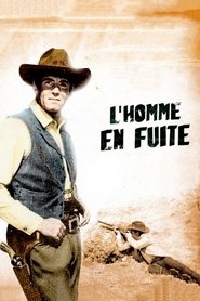 Voir L'homme en fuite en streaming vf gratuit sur streamizseries.net site special Films streaming