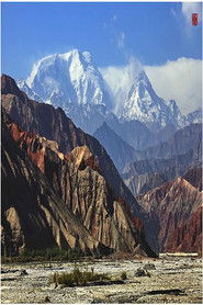 MongoDB.Entities.FuzzyString