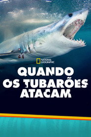 Quando os Tubarões Atacam — Temporada 4