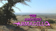 The Amazing Armadillo