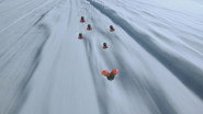 Snow fly