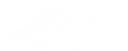 Shadow Steps Stop Motion Studio