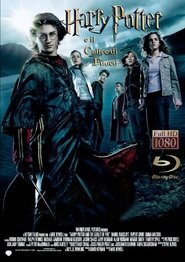 Harry Potter e il calice di fuoco