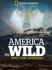 America the Wild постер