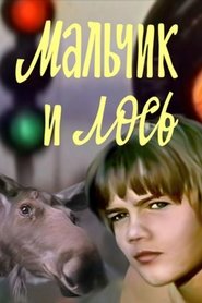 Poster The Boy and the Moose 1975