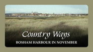 Bosham Harbour in November