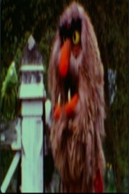 The Muppet Movie Camera Test