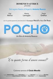 Poster Pocho