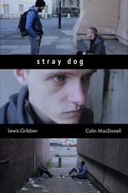 Stray Dog (2020)