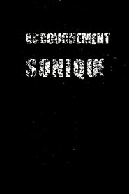 Poster Sonic Birth 2010