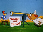 Watch the Birdie