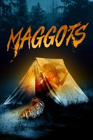 Poster Maggots 2019