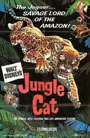 Jungle Cat постер