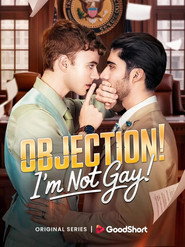 Objection! I'm Not Gay! постер