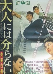 Poster 青春白書 大人には分らない