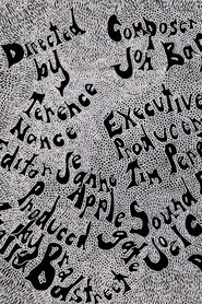 Jimi Could Have Fallen from the Sky (2017)