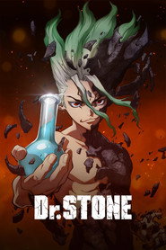 Dr. STONE (2019)