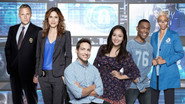 The Inspectors