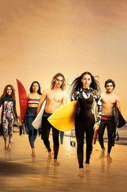 Surviving Summer poster