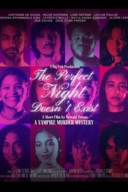 The Perfect Night Doesn't Exist (2024)